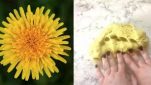 Naturally Dyed Dandelion Playdough