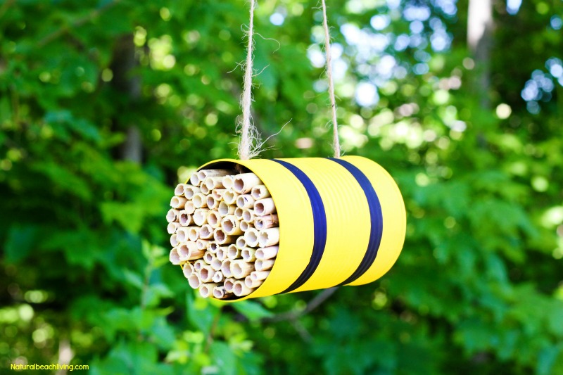 Toysmith DIY Solitary Bee Habitat Kids Kit 