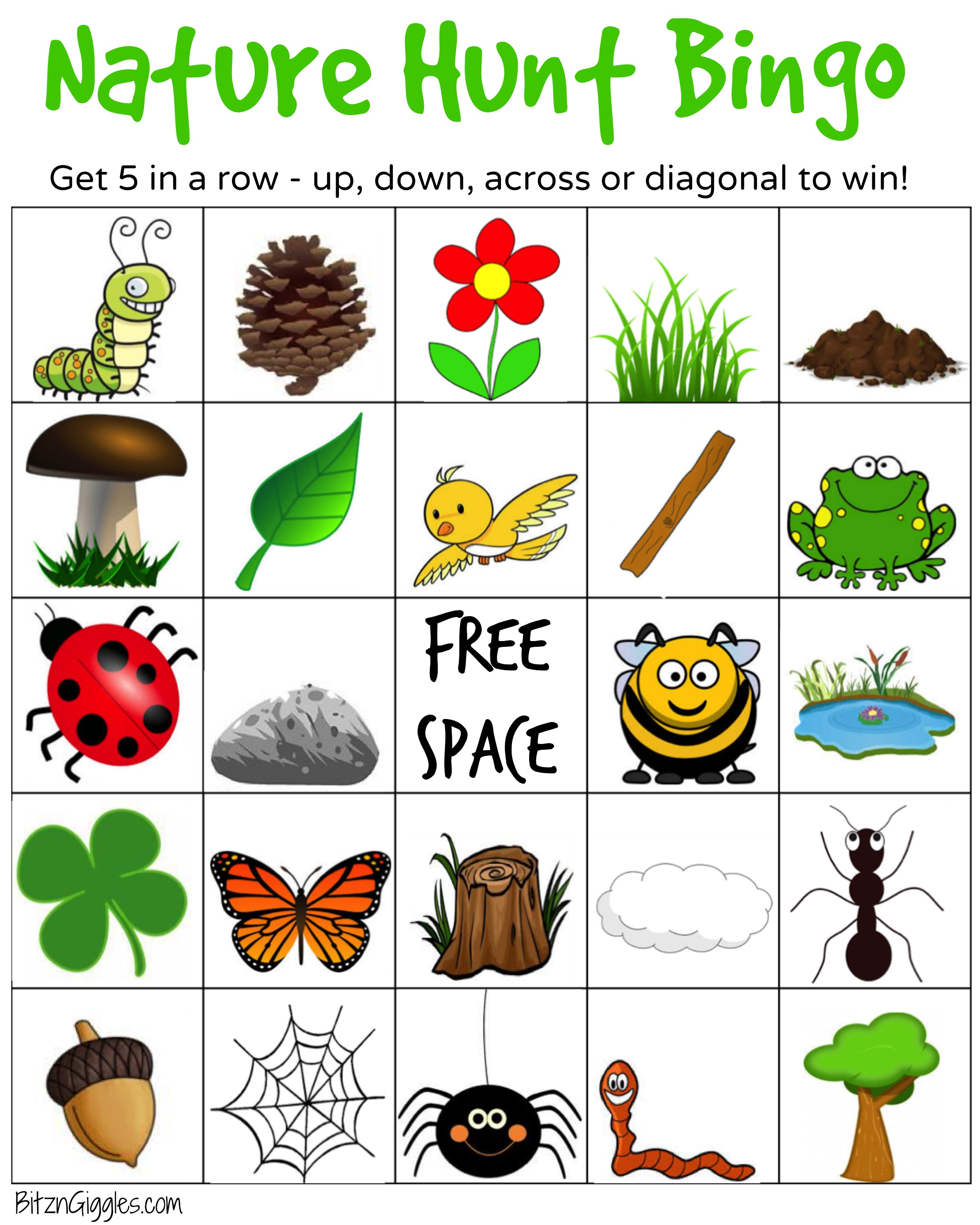 ideas for nature bingo items
